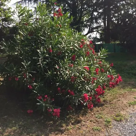 Holiday home La Jouvence Nozay (Loire-Atlantique)